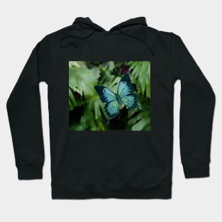 Tropical Blue Ulysses Butterfly Hoodie